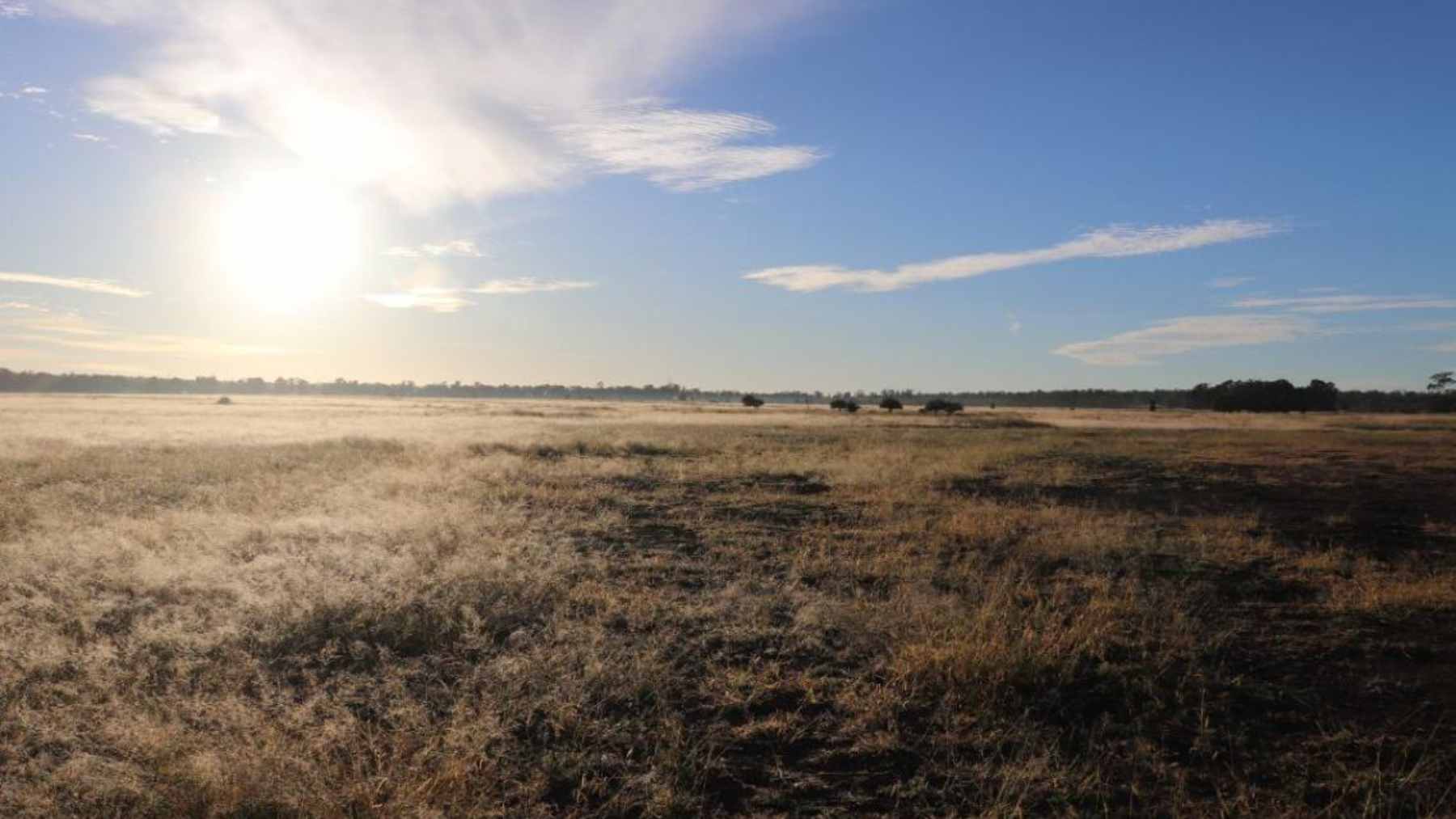 A rusted pipe marking an abandoned coal exploration borehole in a dry Queensland cattle field.