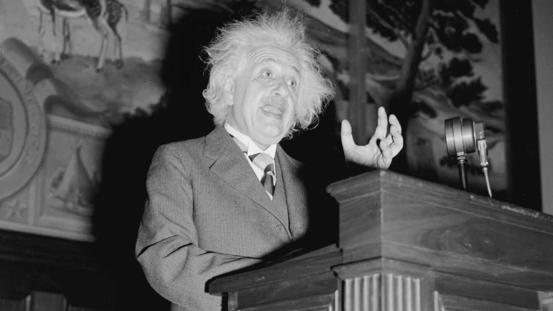 A scientific diagram illustrating the Einstein-Rosen bridge as a connection between two mirrored regions of space-time.