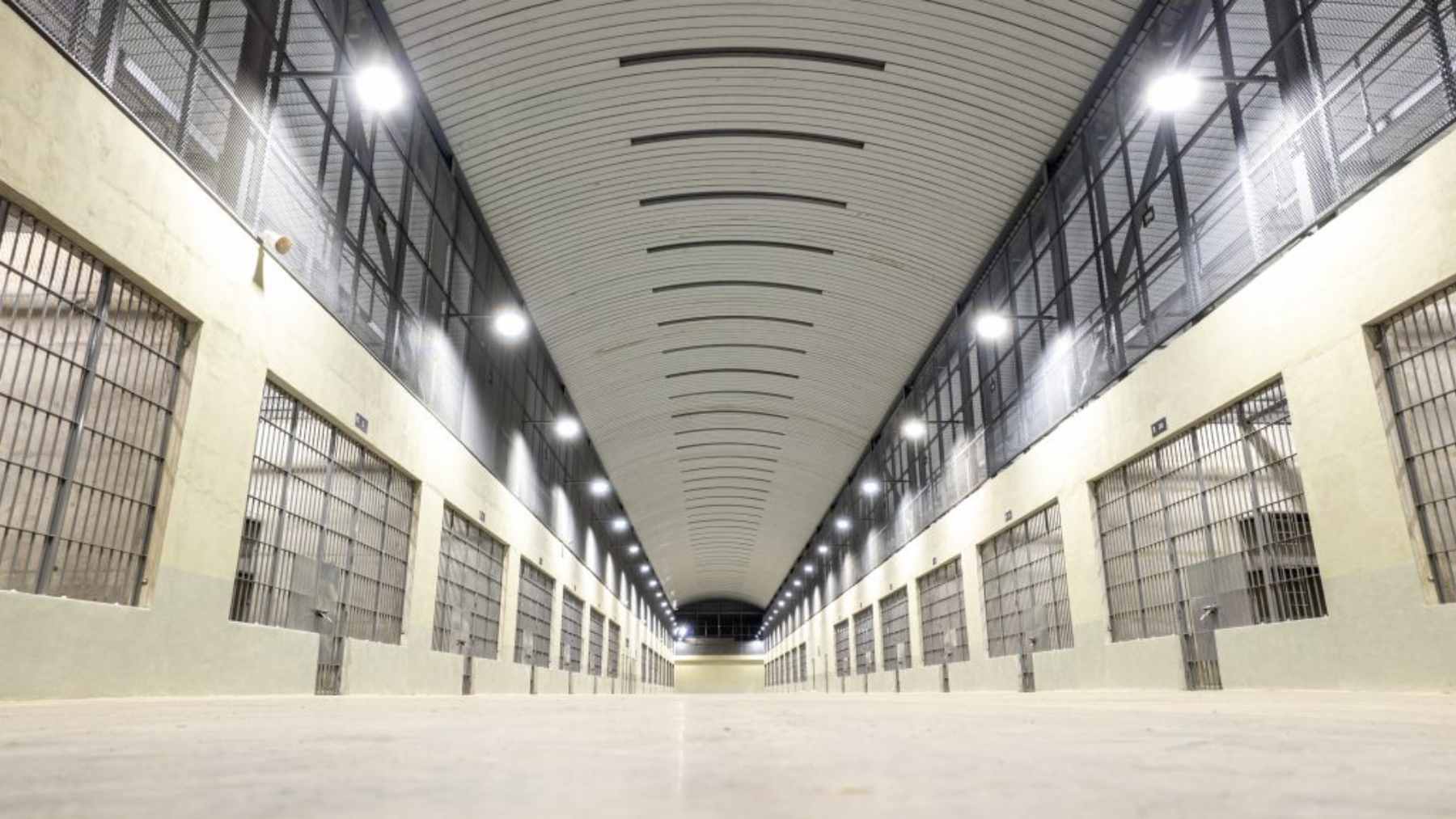 A close-up of a man's arm featuring various tattoos, representing the central piece of evidence in the Neiyerver Adrián Leon Rengel wrongful deportation lawsuit.