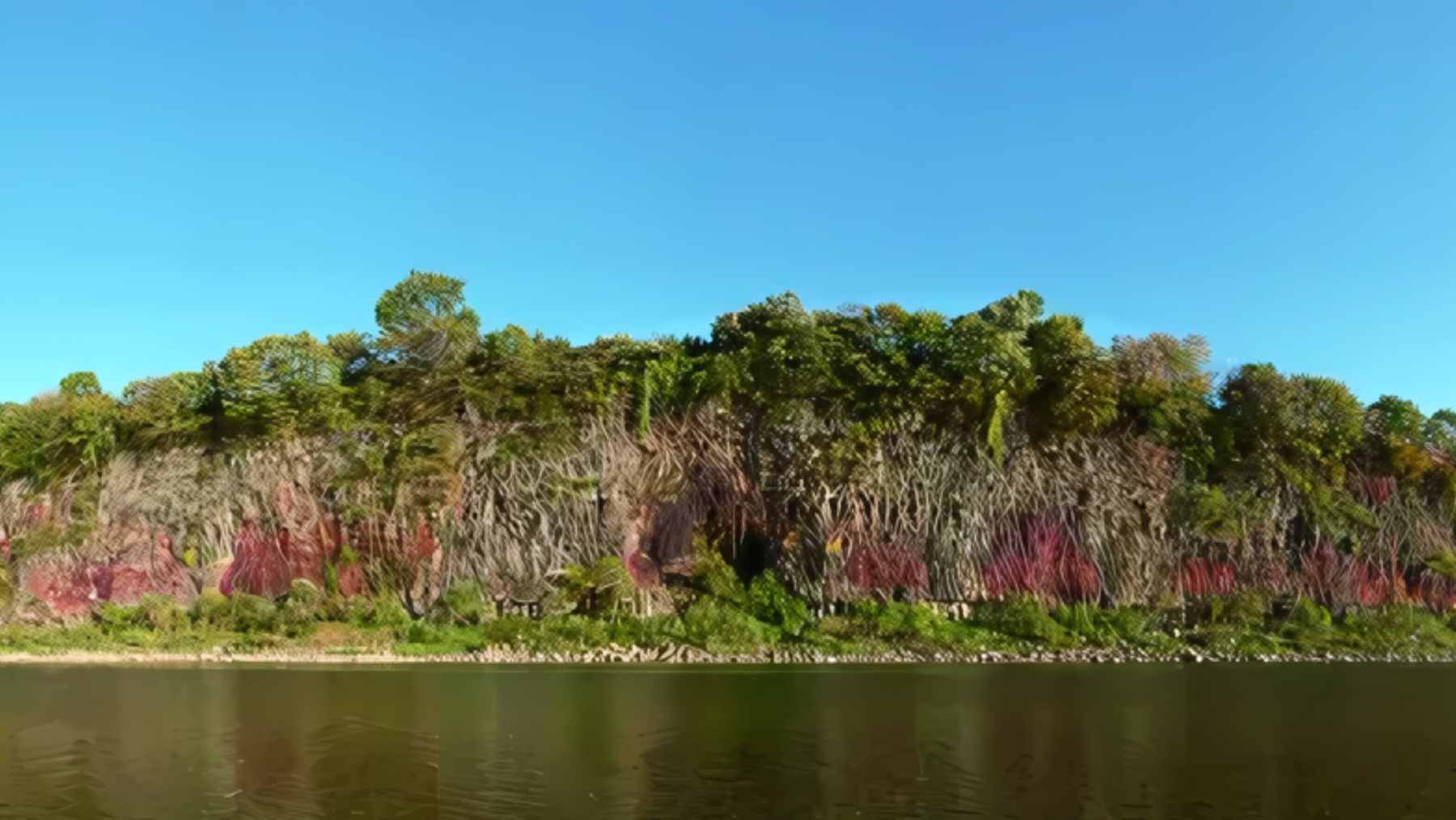 A lush, untouched green valley within the Korean Demilitarized Zone, which serves as an accidental wildlife sanctuary.