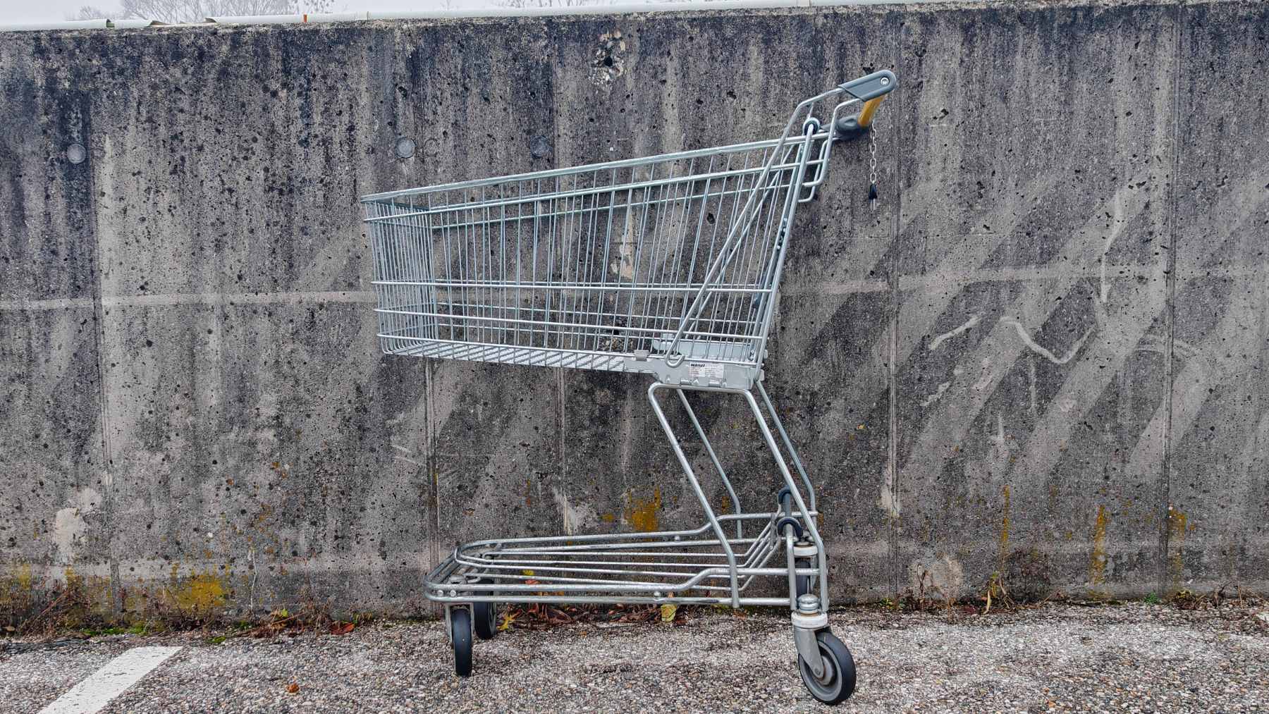 An abandoned shopping cart left discarded in a public park near a stormwater pond.