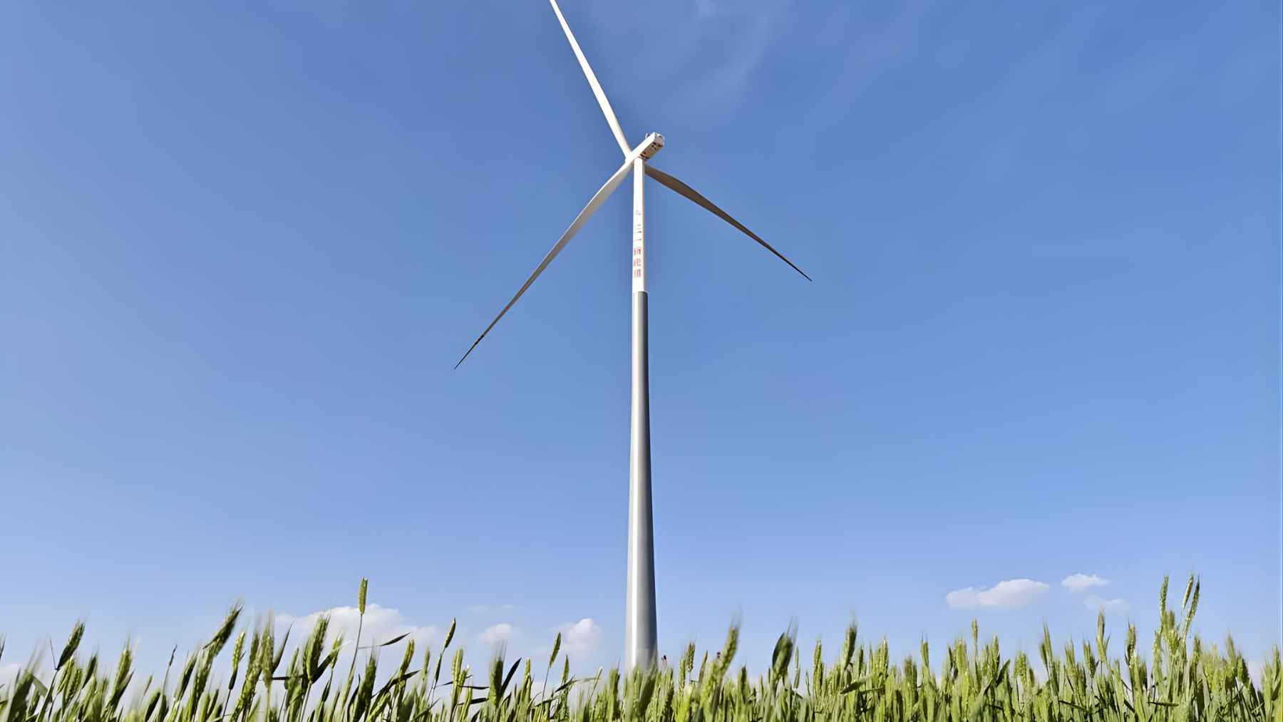 China is dropping a $1.18-billion hybrid energy machine into Europe, and the real shock is that it comes with batteries and a data center built in 1 An expansive solar panel farm situated directly next to a modern, high-tech data center and battery storage facility.