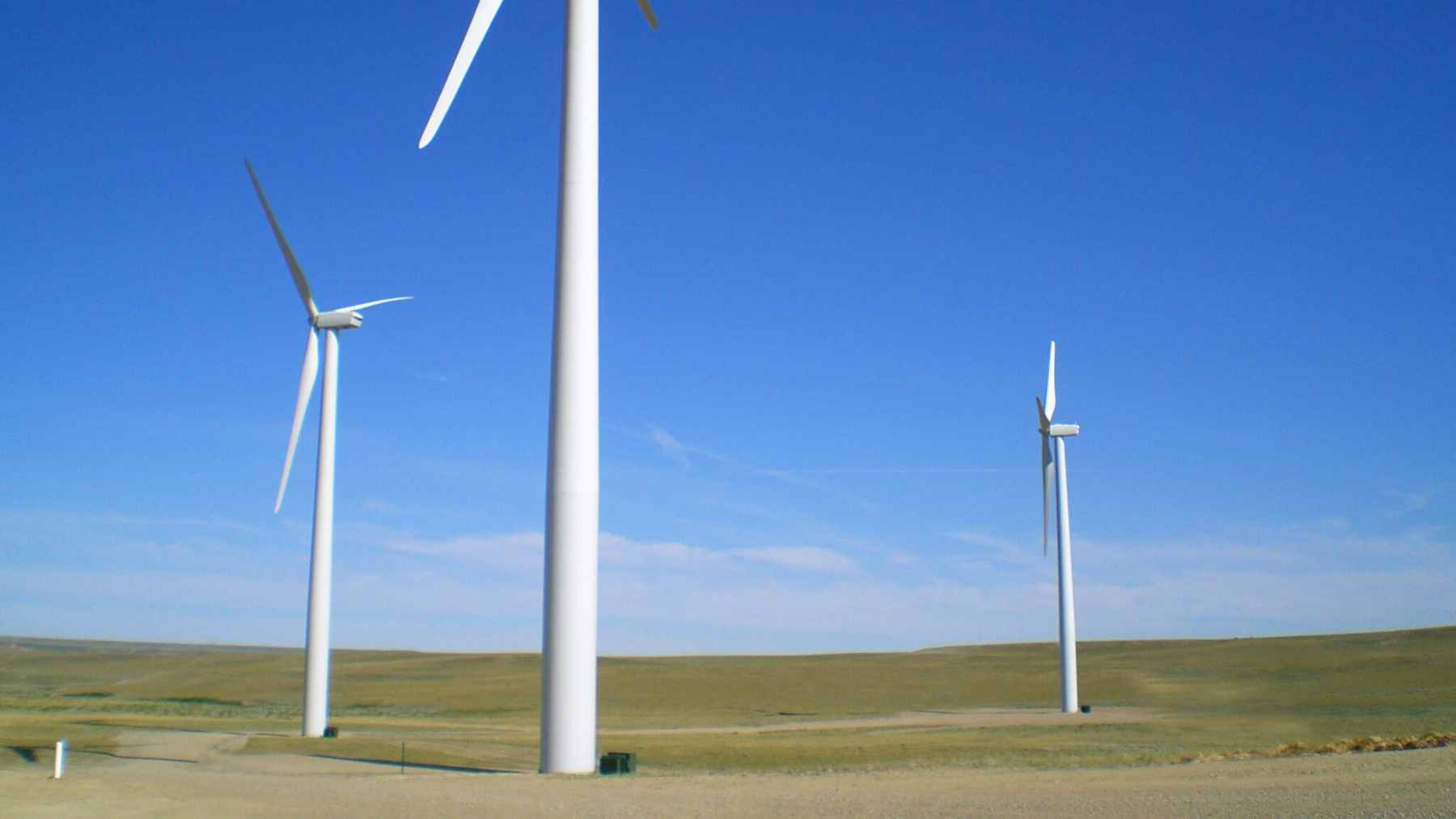 A sprawling wind farm stretching across the open landscape of Wyoming's Laramie Range under a cloudy sky.
